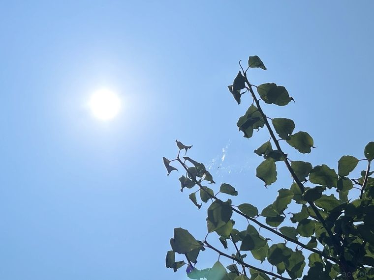 猛暑を快適に乗り切る今年買うべきおすすめグッズ4選の画像