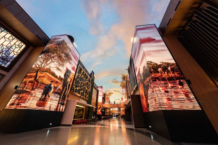 デジタル・エンターテインメント・ストリートのオーロラ