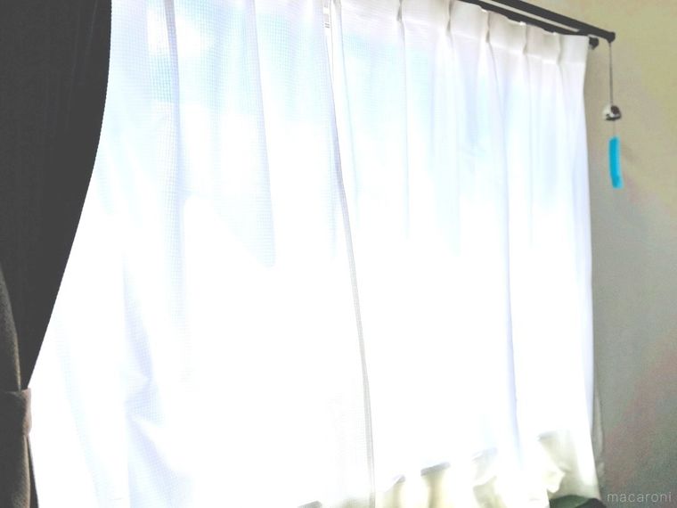 リビングの窓から日差しが差し込んでいる様子