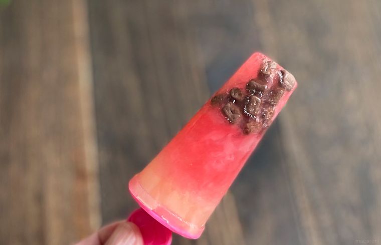 チョコチップが下に固まった状態のスイカバー