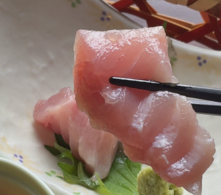 マグロの刺身