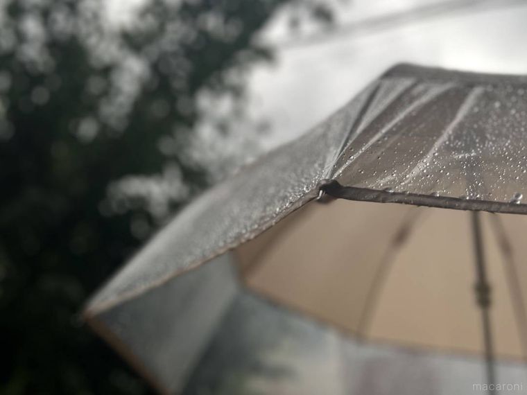 雨の中、傘をさしている様子