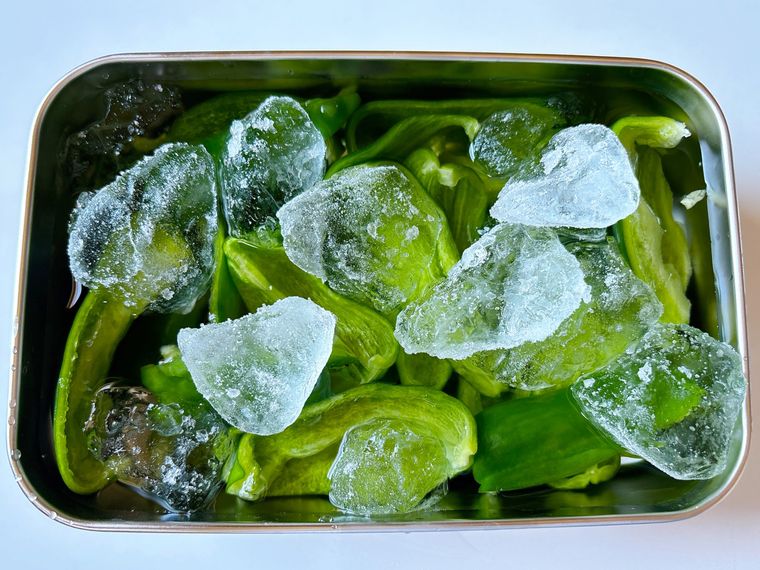 金属トレーに氷水とピーマンを入れたもの