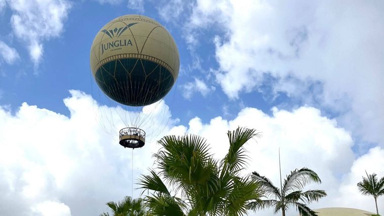 飛んでいるバルーン