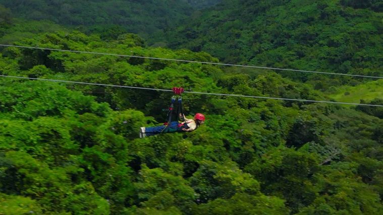 SKY PHOENIXスカイ フェニックス