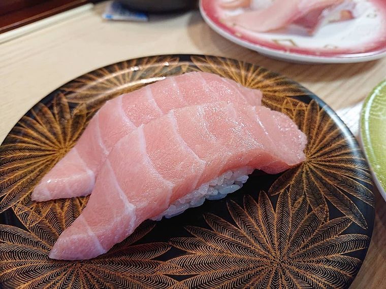 本マグロ中とろ