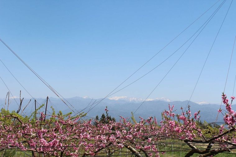 生産地伍和と阿智村について