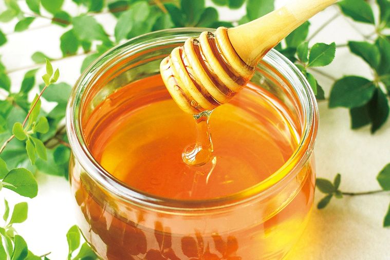 採れたて国産新蜜フェアとは