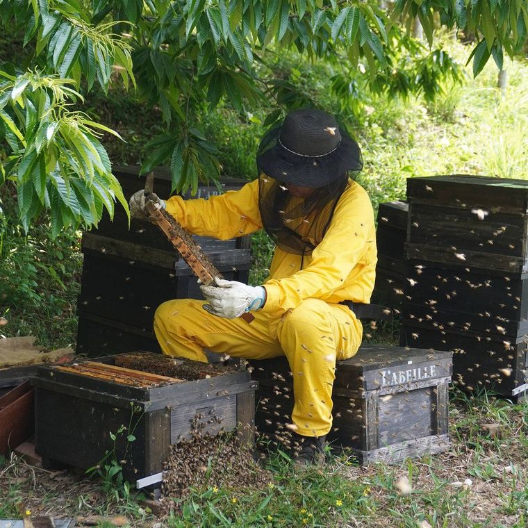 1. 東京はちみつ東京エリア限定4