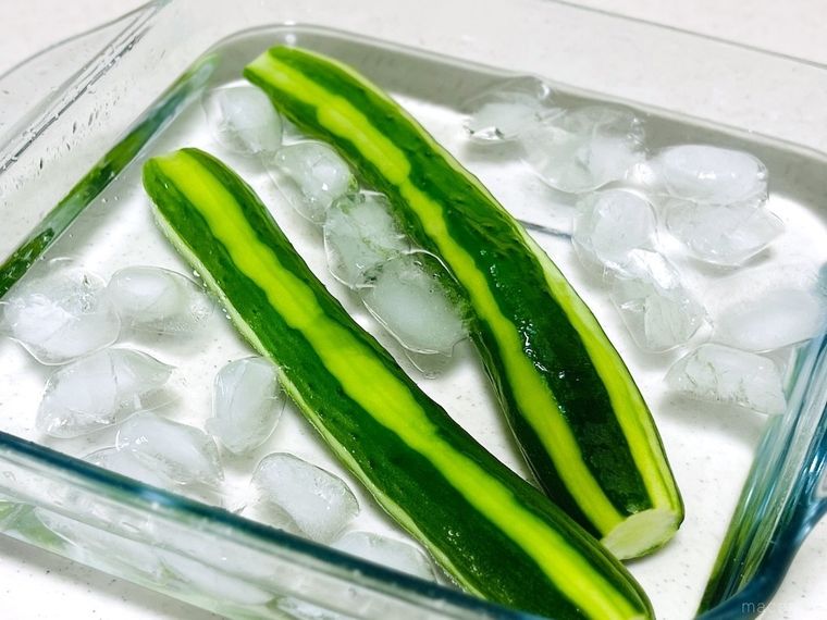 ゆでたきゅうりを氷水で締めている様子