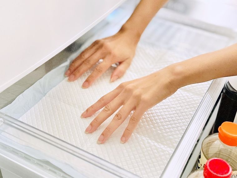 冷蔵庫の野菜室にペットシーツを敷いている様子