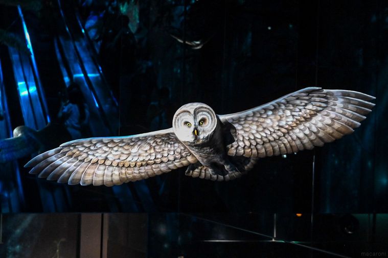 フクロウのオブジェ