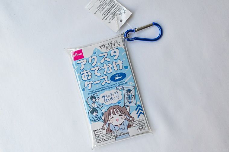 ポーチのアップ