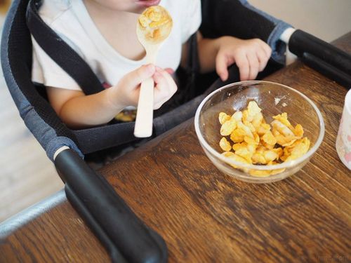 食べこぼし掃除が何倍も楽になった掃除機の使い方にイヤイヤ期も怖くないもっと早く知りたかった