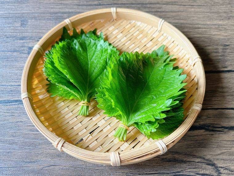 丸いザルにおかれた大葉