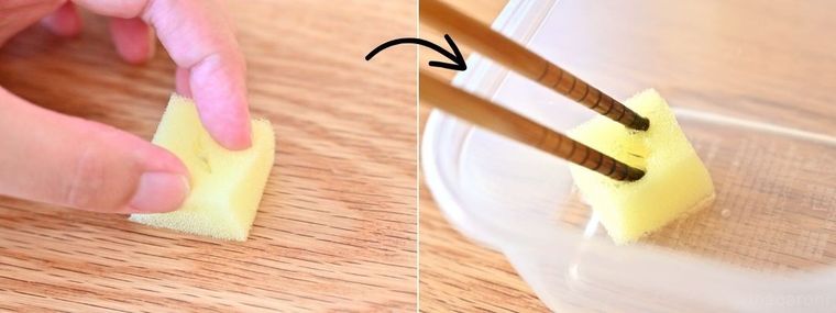 スポンジに種を入れ、箸で切れ目を開いている