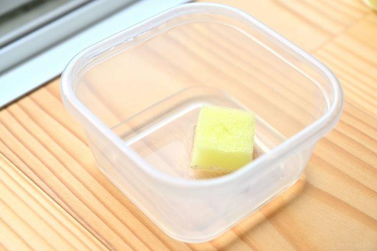 窓際に置いた水耕栽培