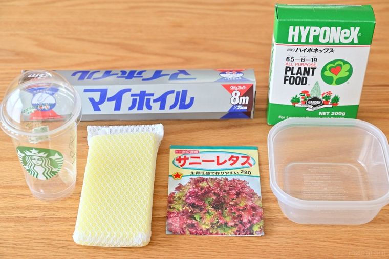 スターバックスカップやスポンジなど複数の水耕栽培道具が並んでいる