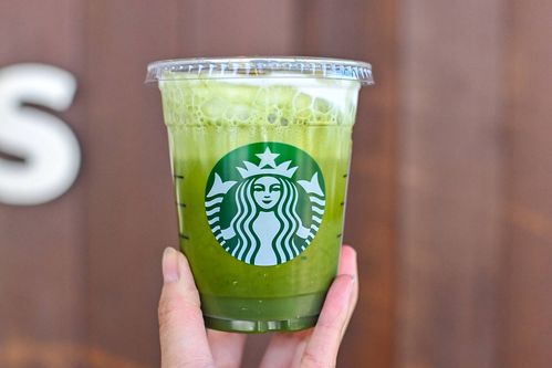 スタバ新作涼み抹茶ムース ティーの正解カスタムほろ苦い抹茶が好きな人はこれ