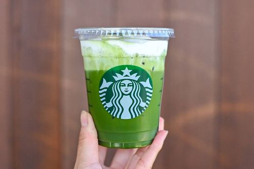 スタバ新作涼み 抹茶 ムース ティーを飲んでみた今までで一番ほろ苦いかもしれない