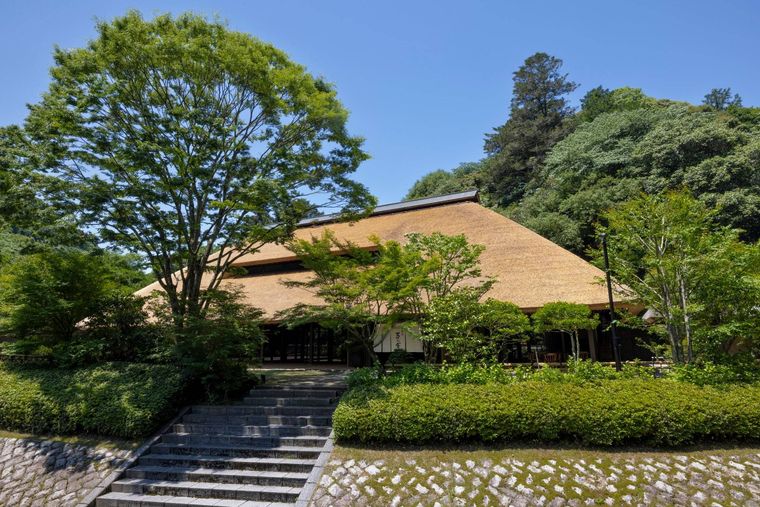 夏を涼しく、5つの工夫とさっぱり麺2