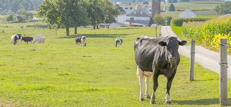2. ミルクのコクが違う北海道産生乳を86使用したヨーグルトベース