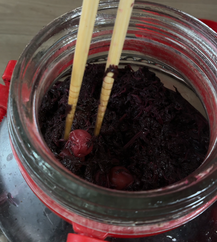 つけた梅干しを取り出している