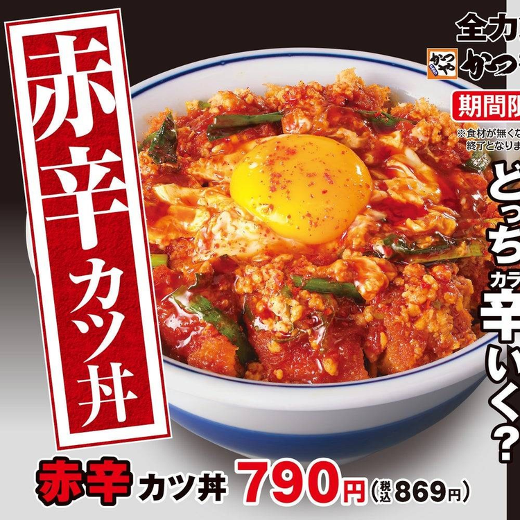 カツ丼出品 4bee0baf259f2b3c95aacdebea87e9
