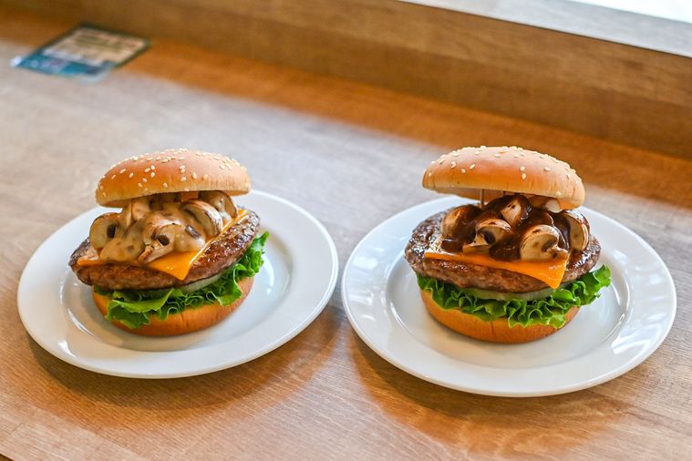 お皿にのった2種類のバーガー