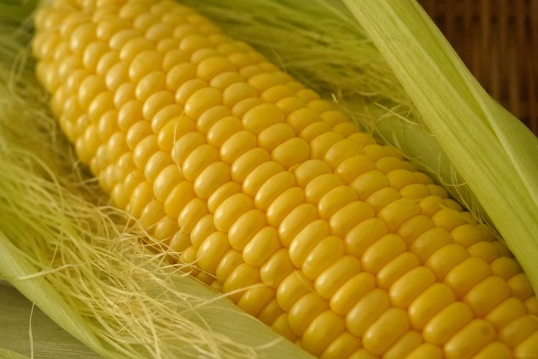 とうもろこしの粒が並んでいる