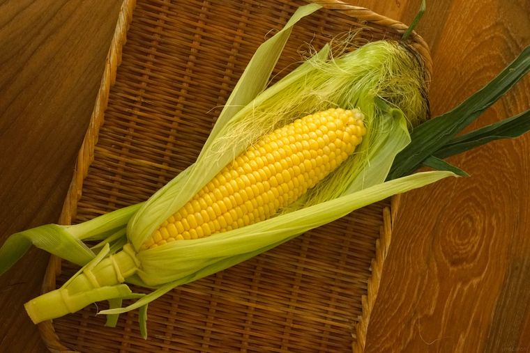 とうもろこしの皮をむいた様子