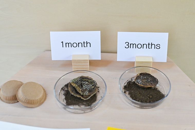 紙製コーヒーポッドのアップ