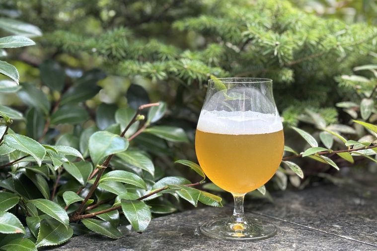 WORKS Aleシリーズとは