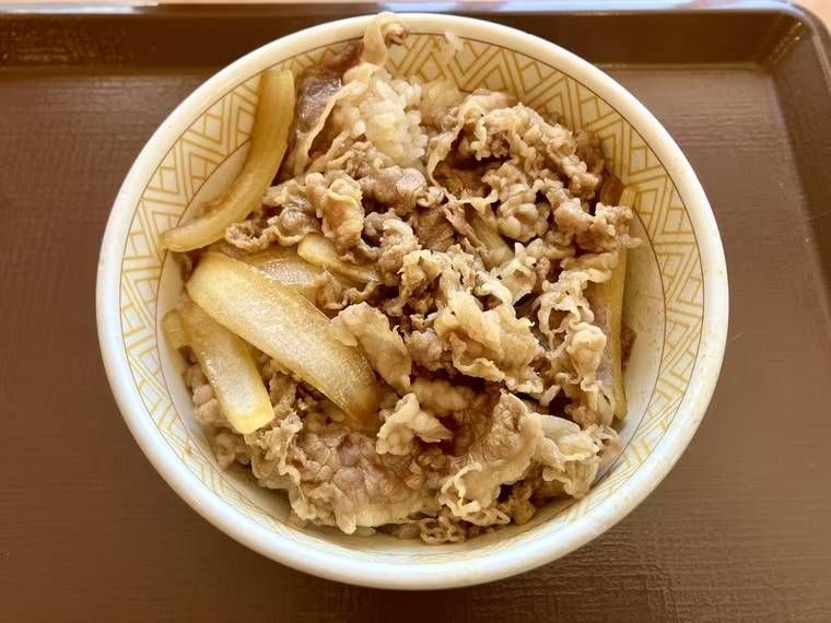 すき家の牛丼