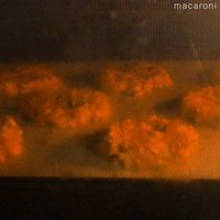 作り方 かぼちゃのオートミールクッキー