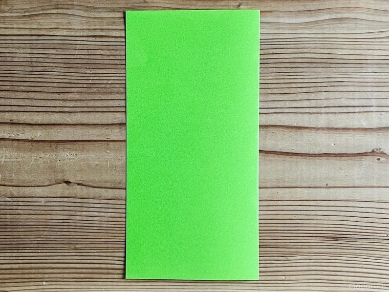 緑色の折り紙を半分に折った様子