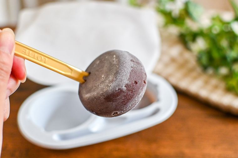 アイスを持っているところ