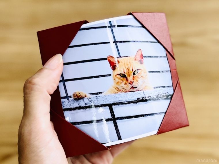 赤い紙で作った写真立てに猫の写真を入れた様子