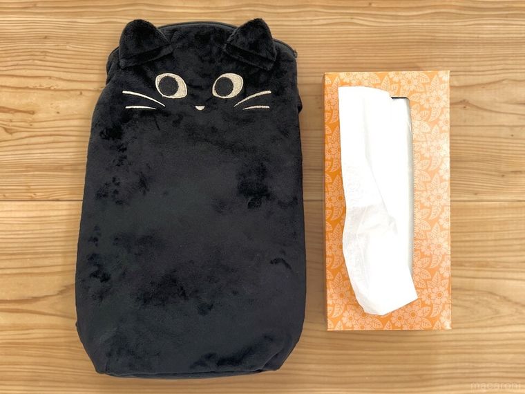 カルディのニャップザックと箱ティッシュを並べた様子