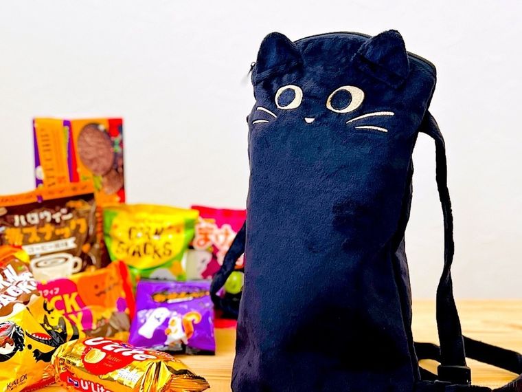 カルディのニャップザックと、中に入っていたお菓子が並べられている様子