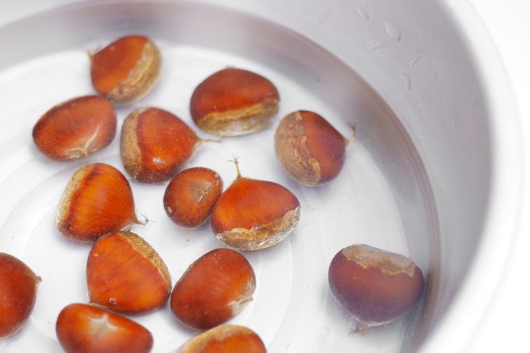 水に栗を浸けている