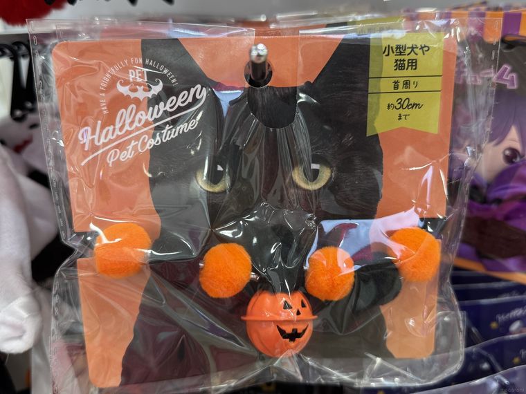 セリアのハロウィンペットコスチューム