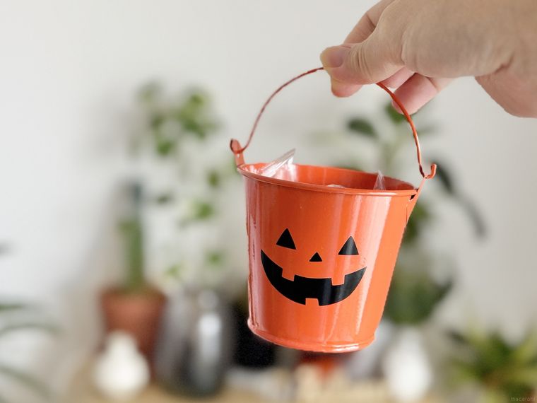 セリアのブリキバケツJ・O・Lを持っている様子