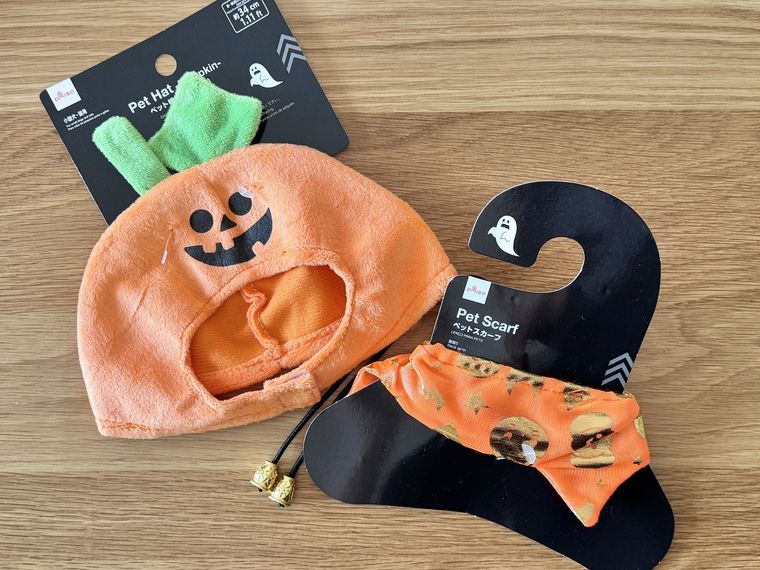ダイソーのペット用帽子とスカーフ