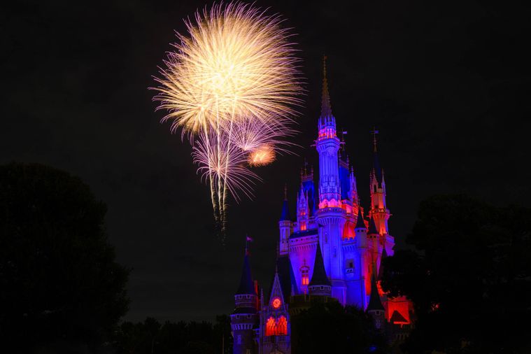シンデレラ城と花火