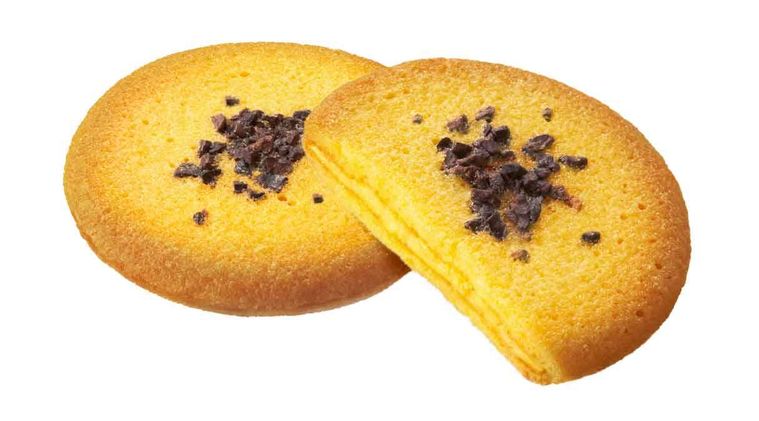 ゴディバ ブラックキャット コレクション パンプキン ラングドシャクッキー