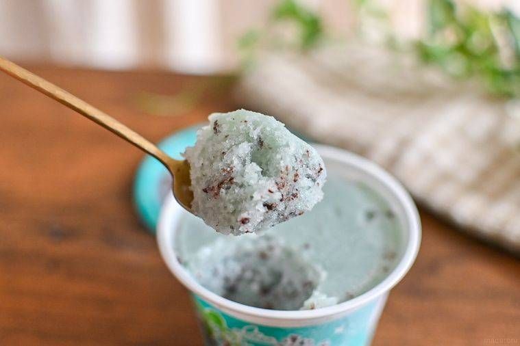 スプーンですくったチョコミントアイス