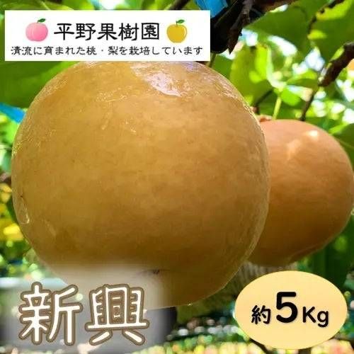 2. 清流球磨梨・新興 5kg箱