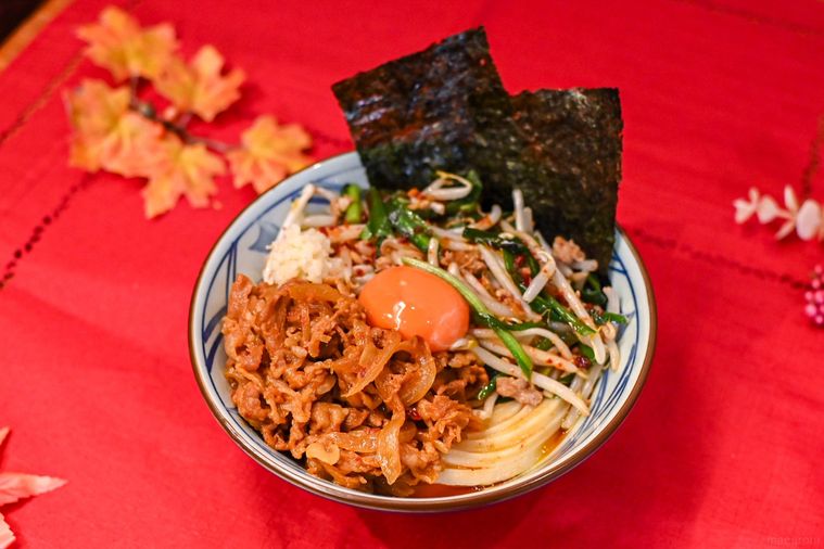 うどんのアップ