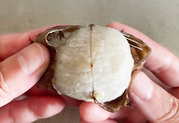 蒸した里芋の皮を剥いている画像